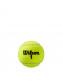 Bola de Tênis Wilson Roland Garros